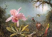 Martin Johnson Heade Cattleya Orchid Three Brazilian Hummingbirds china oil painting reproduction